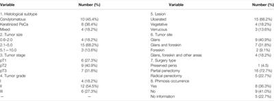 Upregulated miRNAs on the TP53 and RB1 Binding Seedless Regions in High-Risk HPV-Associated Penile Cancer